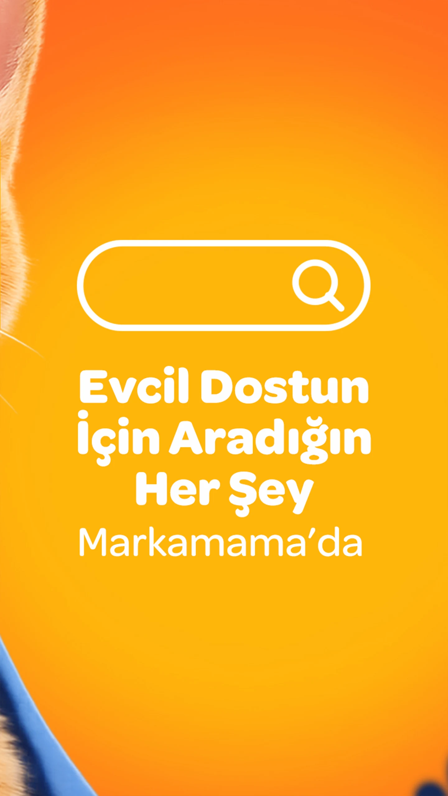 Markamama screenshot